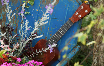 Close-up of guitar