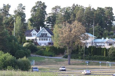 Trees and houses on field by road against buildings