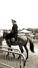 Woman riding horse sitting on railing