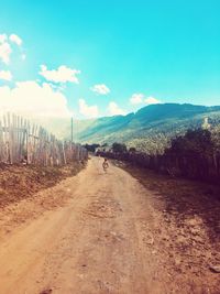 Dirt road amidst plants and trees against sky