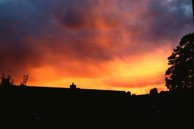 Silhouette of trees against dramatic sky