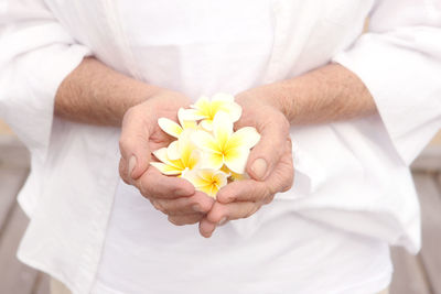 Midsection of senior woman holding frangipanis