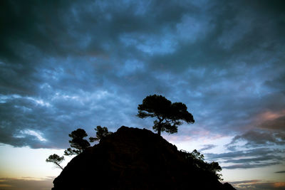 Low angle view of silhouette tree against sky at sunset
