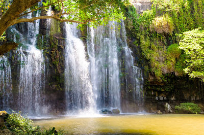 Scenic view of waterfall in forest