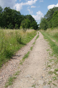 Road amidst trees on field against sky