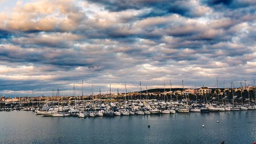 Sailboats moored at harbor against sky