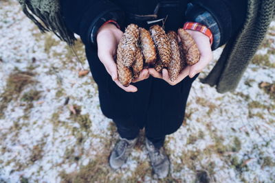 Low section of woman standing with pine cones on snow covered field