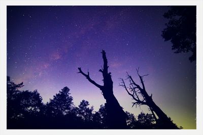 Low angle view of star field against star field