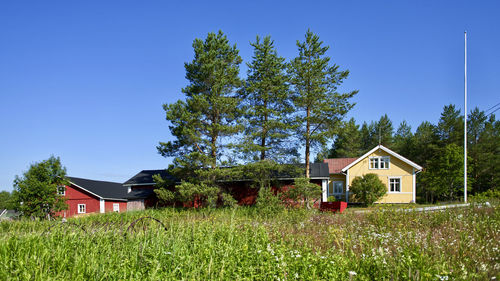 House and trees on field against blue sky