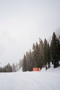 Snow covered pine trees against sky during winter