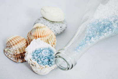 Close-up of seashells with rock salt by bottle on white background