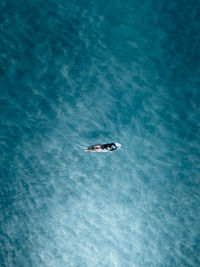High angle view of person swimming in sea