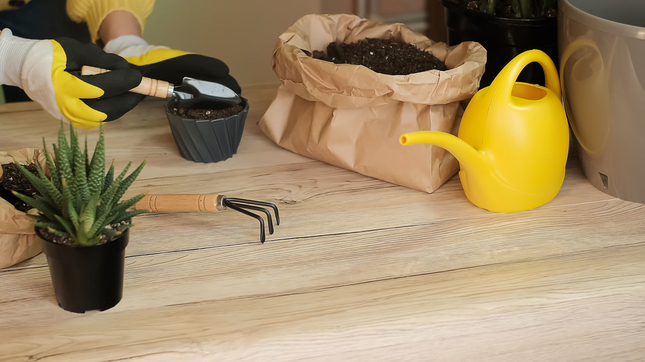 yellow, protective glove, indoors, flowerpot, plant, lifestyles, wood, potted plant, watering can, table, protective workwear, flower, no people, nature, domestic life, container, food and drink, gardening, houseplant, home interior
