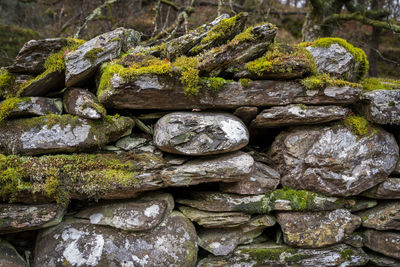 Stack of stones
