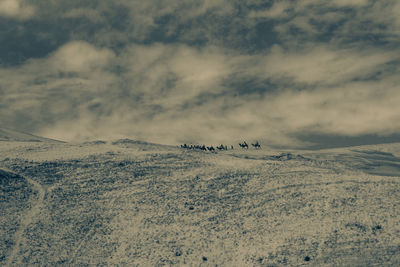 Scenic view of snow covered landscape against sky