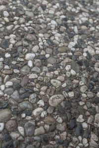 Full frame shot of pebbles on beach