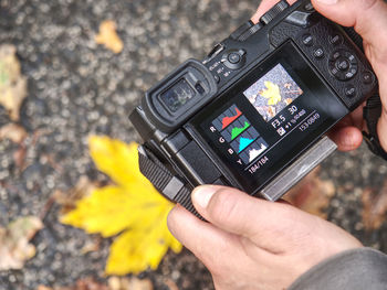 Tourist woman take the picture of yellow leaves under trees in public park.