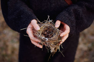 Midsection of woman holding bird nest
