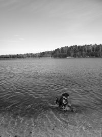 Dog swimming in lake against sky