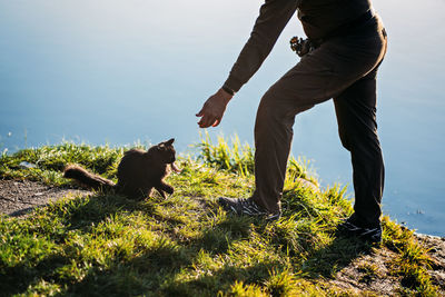 Fisherman with spinning rod gives the cat a fish perch on nature background. angler man with