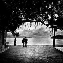 Rear view of silhouette people standing by tree against sky