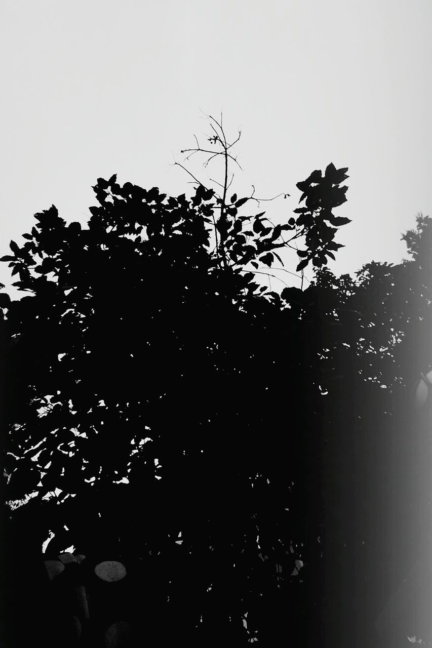 silhouette, no people, tree, nature, sky, outdoors, day