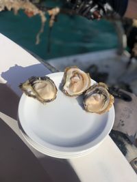 High angle view of ice cream in plate on table