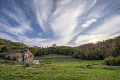 Scenic view of landscape against sky