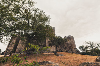 Low angle view of historical building