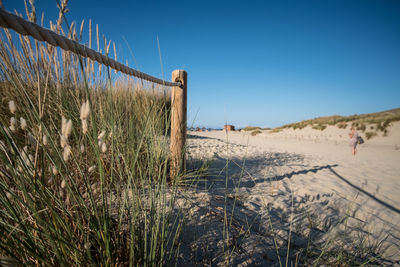 Scenic view of beach against clear blue sky