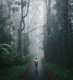 Rear view of man walking on road amidst trees during foggy weather