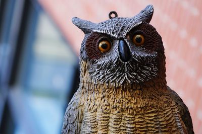 Close-up of owl sculpture