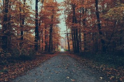 Empty road passing through forest