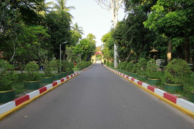 Empty road along trees