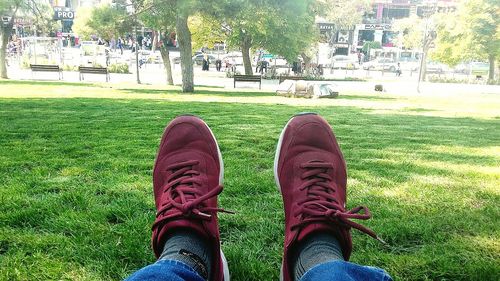 Low section of man relaxing in park