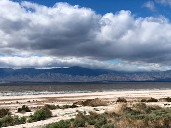 Scenic view of beach against sky