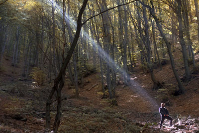 Man standing by trees in forest