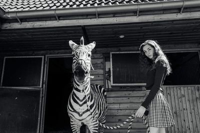 Portrait of young woman standing by zebra