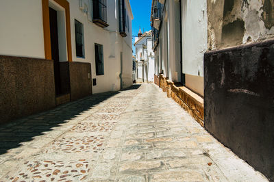 Empty alley amidst buildings in town