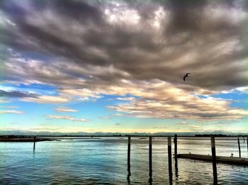 Birds flying over sea against sky