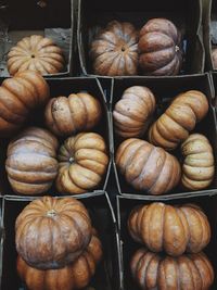 Close-up of pumpkins in containers