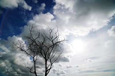 Low angle view of bare tree against sky