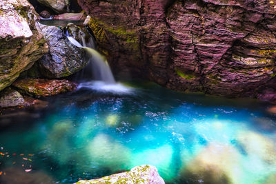 Scenic view of waterfall in forest