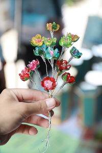 Close-up of hand holding flowering plant