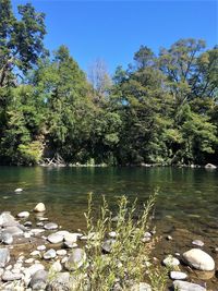 Scenic view of lake against trees