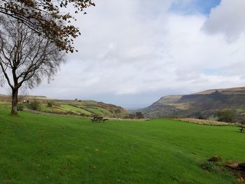 Scenic view of landscape against sky