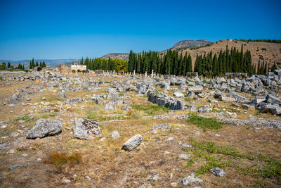 Scenic view of landscape against clear sky