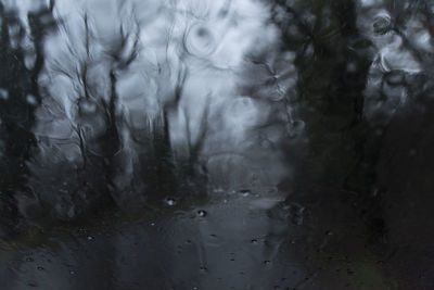 Full frame shot of wet trees in rainy season