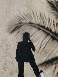 Shadow of person on road