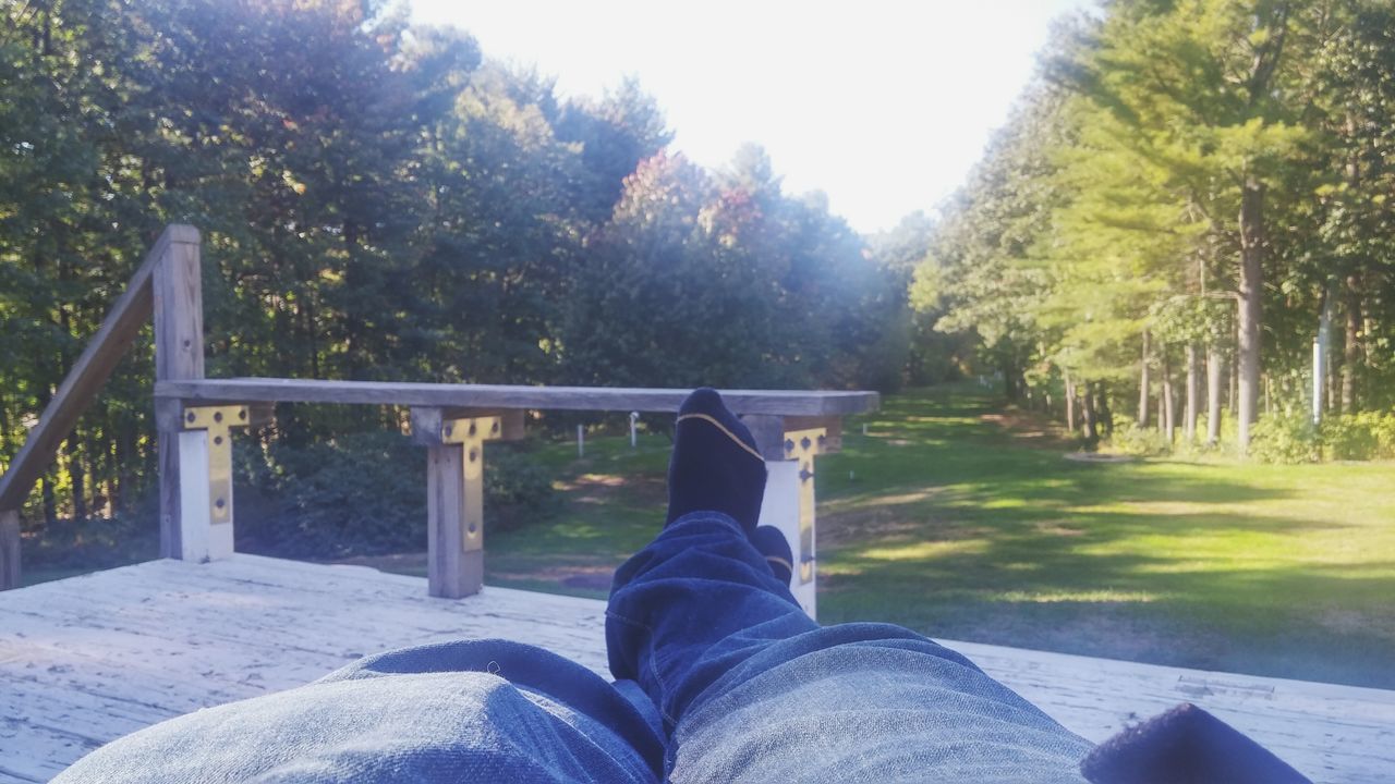 low section, tree, person, relaxation, personal perspective, men, human foot, railing, legs crossed at ankle, solitude, shoe, day, growth, park - man made space, park bench, sunny, outdoors, tranquility, nature, resting, lush foliage, tranquil scene